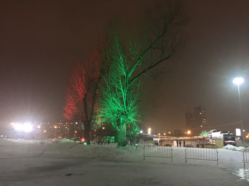 Подсветка деревьев на стадионе Локомотив 
